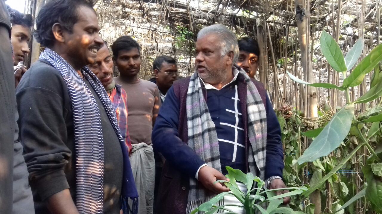 राजगीर प्रखंड के दुहई-सुहई गांव में पान कृषकों की खराब हुई फसलों को देखने पहुंचे ग्रामीण विकास मंत्री सह संसदीय कार्य मंत्री श्रवण कुमार